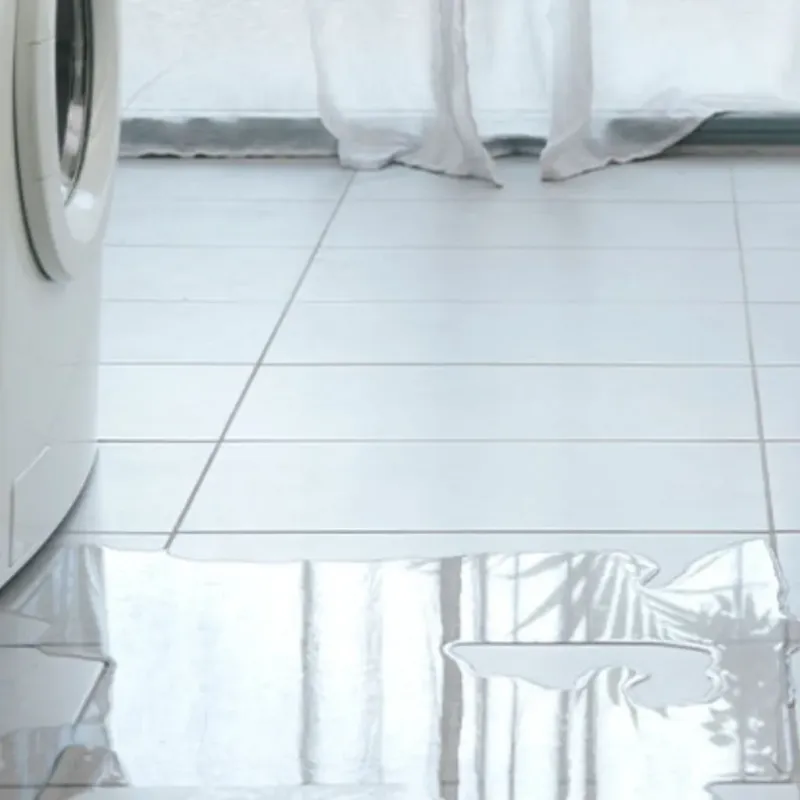 Appliance Leak Cleanup in Leland, MI
