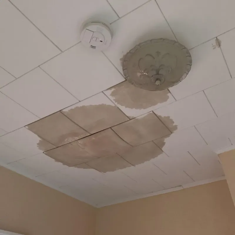 Ceiling Water Damage Repair in Leland, MI