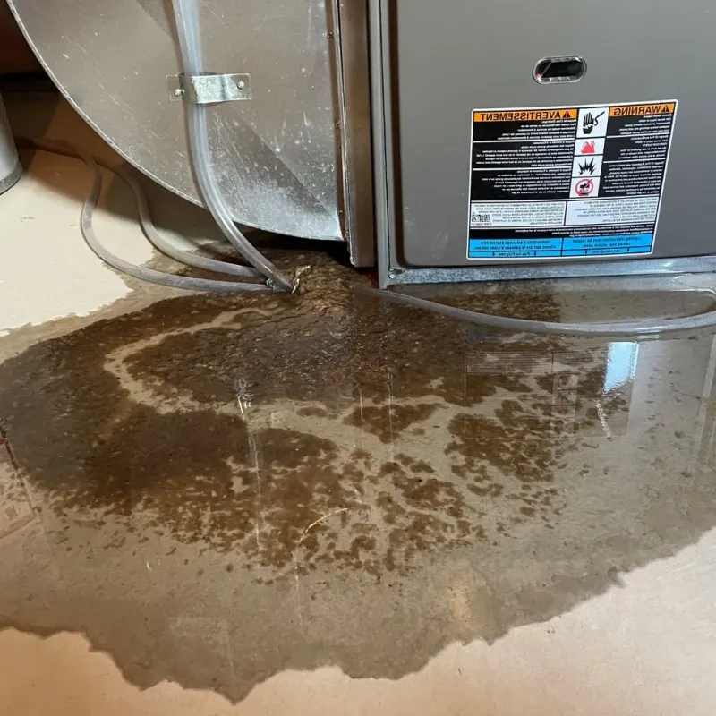 Pipe Burst and Leak Restoration in Leland, MI