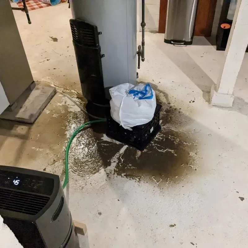 Sewage Backup Cleanup Service in Leland, MI